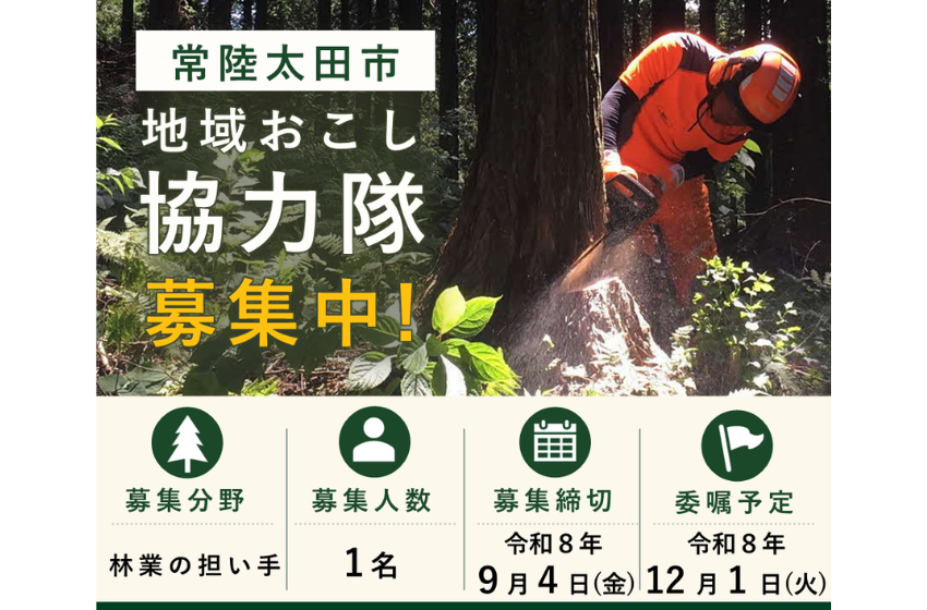  茨城県・常陸太田（ひたちおおた）市、林業分野に従事する地域おこし協力隊を募集　