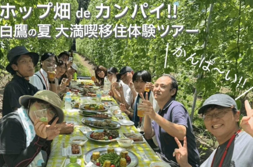 山形県・白鷹（しらたか）町、ホップ摘みや地域交流を楽しむ1泊2日の移住体験ツアーを開催、7/25～26