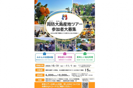 チラシより