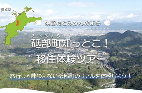 チラシより