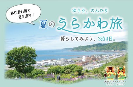 チラシより
