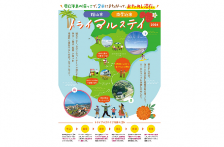 チラシより