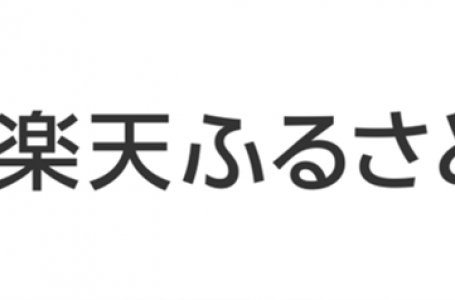 報道発表資料より