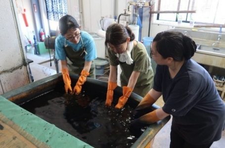 報道発表資料より