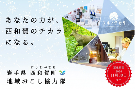 報道発表資料より