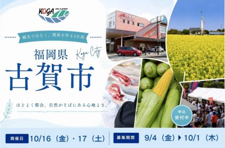 報道発表資料より