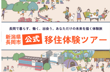 報道発表資料より