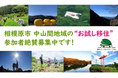 報道発表資料より