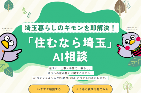 報道発表資料より