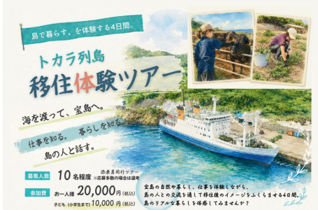 報道発表資料より
