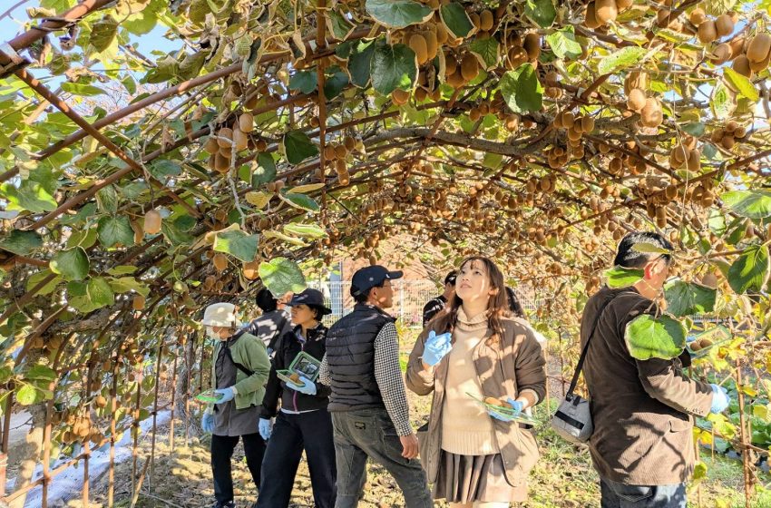  徳島県・徳島市、移住体験ツアーを開催、10/30～31
