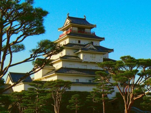 「八重の桜」の復興効果、鶴ヶ城は震災前を超える水準に