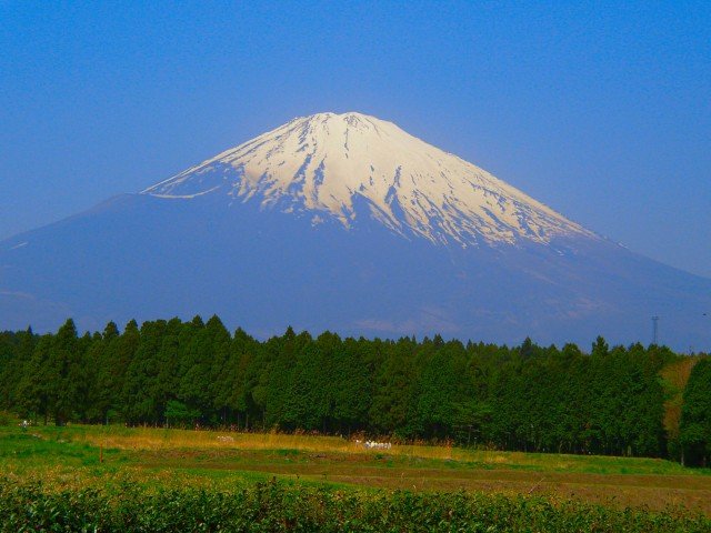 成田空港から富士山の直行バス、訪日客への対応で時間短縮や滞在時間を有効活用できるダイヤに