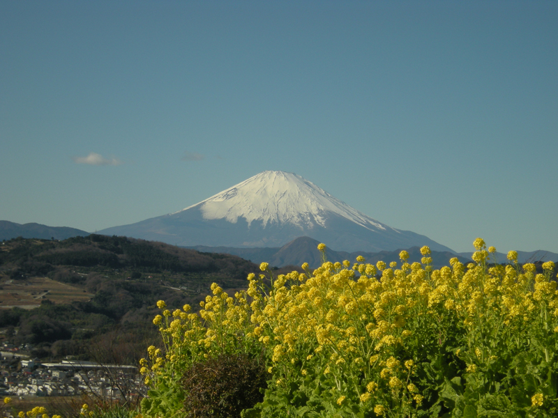 富士山、世界文化遺産に登録決定、日本で17番目