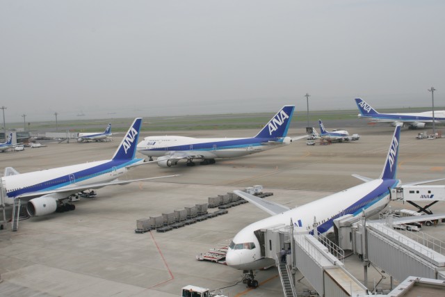 ANA、北米向けエコノミーフレックス運賃を終了