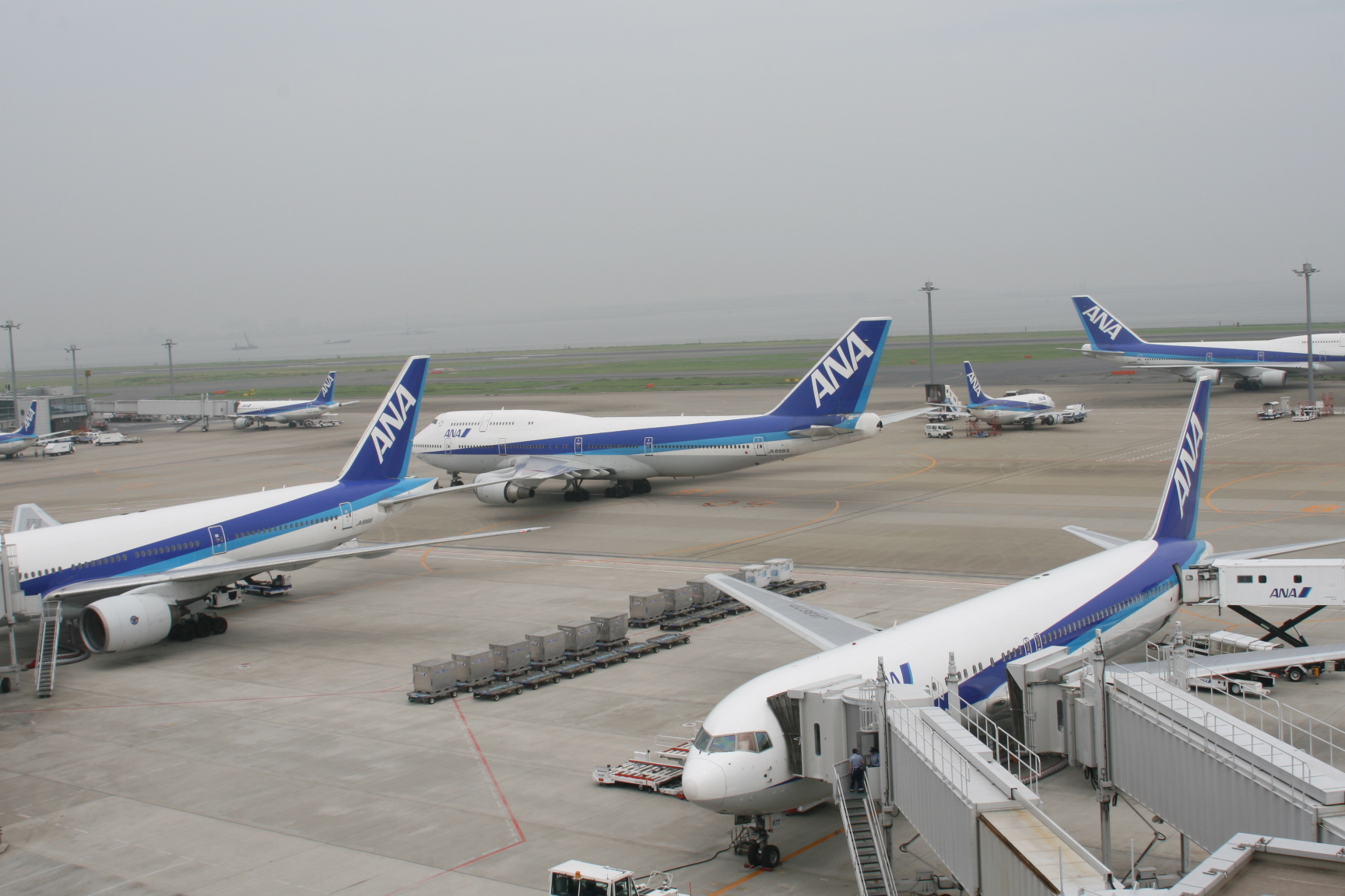 ANA、羽田/中部線を新規開設、羽田国際線への乗り継ぎを見込む