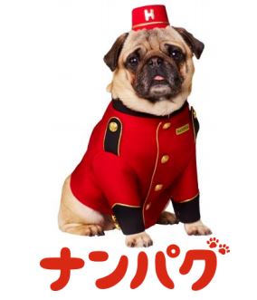 Hotels.com、新キャラクター10匹のパグが渋谷を歩く「パグリシティ」を実施