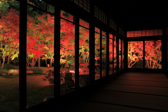 福岡・博多の神社仏閣を4日間限定でライトアップ、日本夜景遺産に認定も【画像】