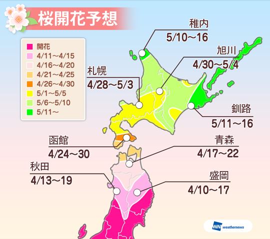 桜開花の最新予想2016、ゴールデンウィークに北海道が見ごろ、前半は函館で満開に　－ウェザーニューズ