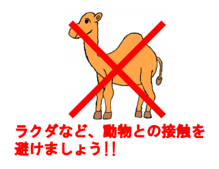 外務省、中東諸国MERSコロナウィルス感染で「ラクダへの接触は避けてください」と注意喚起