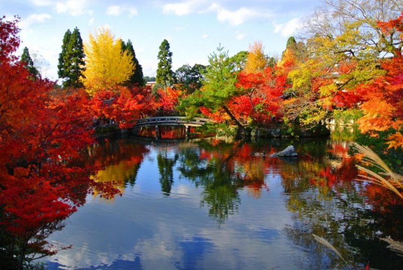 クチコミ人気の紅葉スポット2016、1位は京都・永観堂、2位は青森・奥入瀬渓流　―トリップアドバイザー