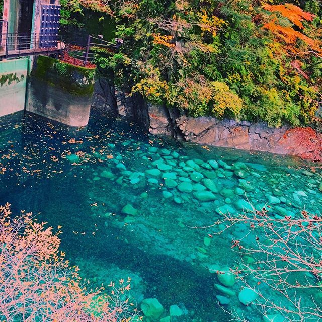 SNS映えするスポットランキング2016、トップは神奈川県「ユーシン渓谷」、笑い分野でトップ10も発表　【画像】