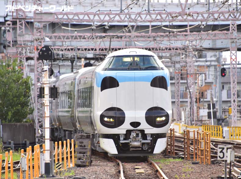 Jr西日本とアドベンチャーワールドの パンダくろしお 列車 臨時列車で10月運行 お楽しみ特典も 画像 トラベルボイス 観光産業ニュース