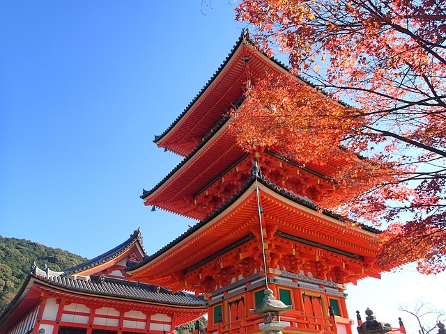 京都の紅葉シーズンは宿泊需要が急回復か、8月は前年比30.4%増も低稼働率、緊急事態宣言による団体減で旅館の稼働率は9.0%に