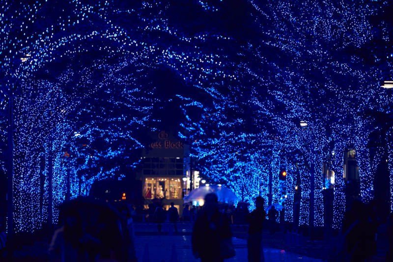 東京・渋谷で「青の洞窟」イルミネーション開催、動く光で波を演出、代々木公園とのコラボも【写真】