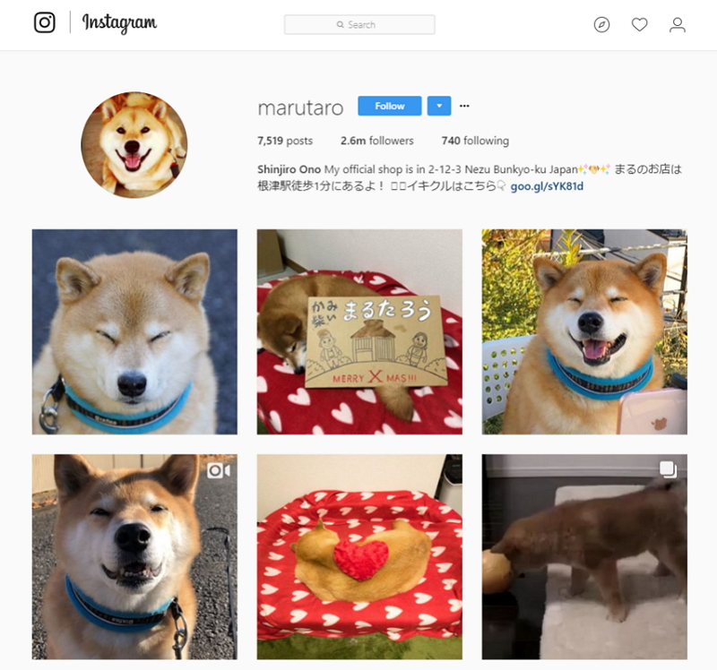 インスタグラムで振り返る17年 世界の人気スポット5位に ディズニー東京 柴犬 まる はフォロワー数で世界4位に トラベルボイス