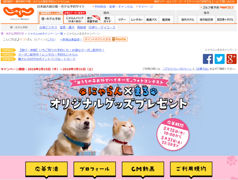 リクルート「じゃらん」が新テレビCM、SNSで人気の「柴犬まる」が登場、公式キャラクター「にゃらん」と温泉入浴など