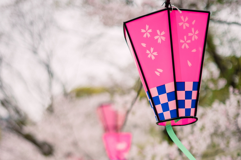 グーグル地図に「桜スポット」のアイコン表示、イベント情報などKADOKAWAの桜情報も