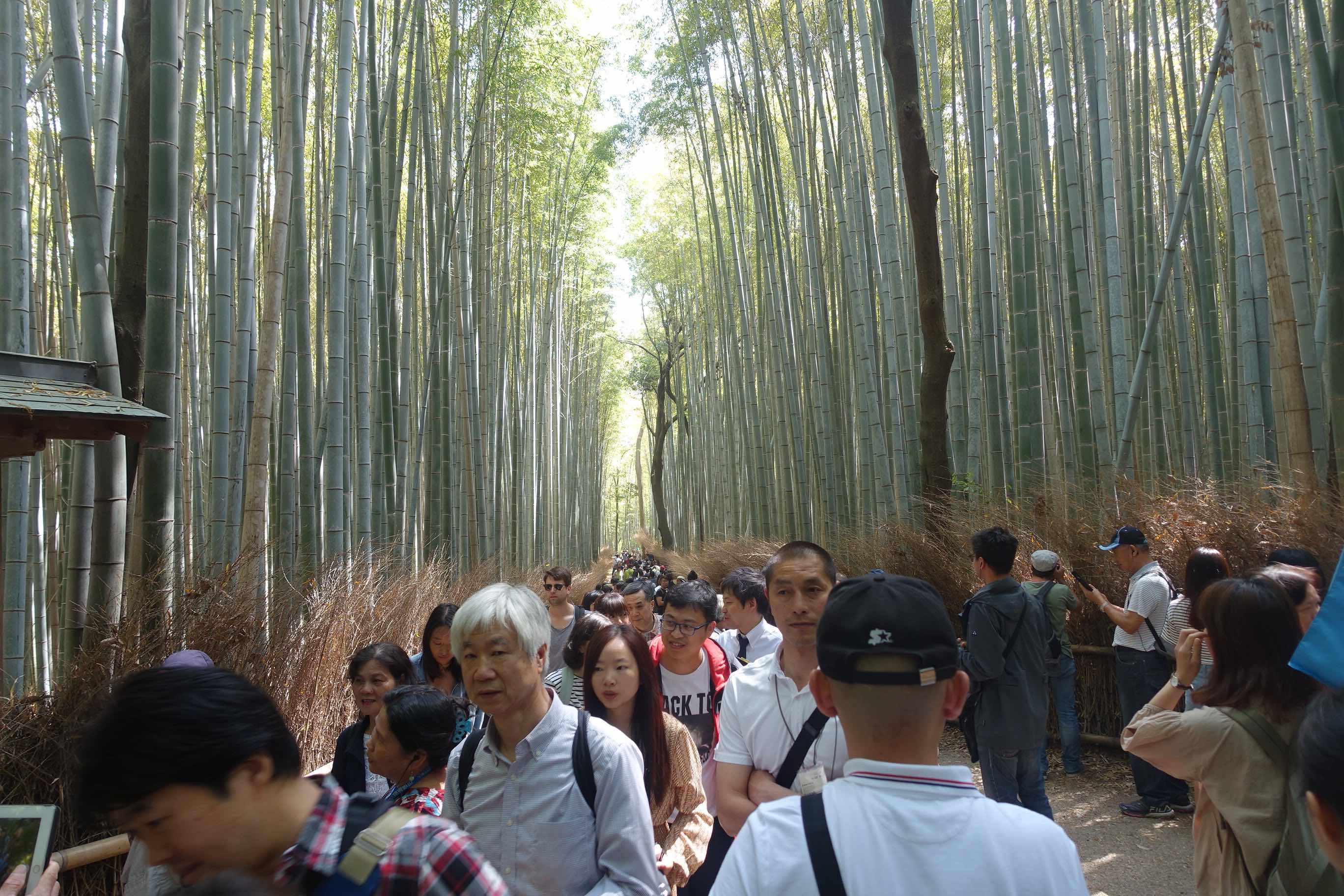 京都・嵐山地区のオーバーツーリズムの実態は？　ゴミ問題から現地の温度差まで取材した