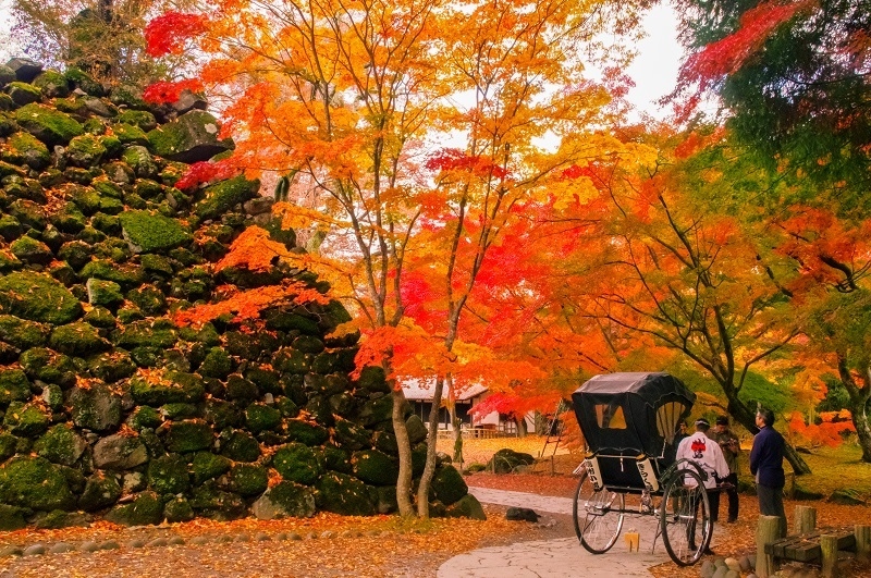 長野県小諸市が「紅葉まつり」開催、台風19号被害から復旧、観光客の受け入れ正常化を呼びかけ