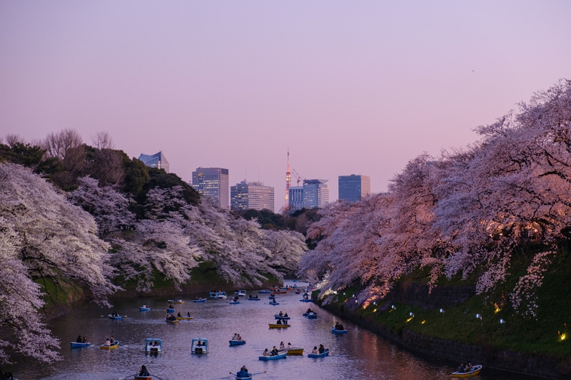 米・大手旅行誌の読者が選んだ「世界で最も魅力的な都市」、東京と京都が2年連続でツートップ、5位に「大阪」