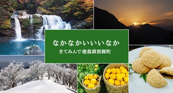 徳島県那賀町、無料eラーニング講座で観光客誘致、講師は町長、地域課題の解決へドコモと協業