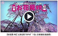 スマホアプリで自宅でも桜鑑賞、「お花見VR」が無料公開、上野公園など50か所以上で360度動画【動画】