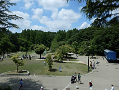 コロナ疲れを癒やす近場旅で「生田緑地」を提案、都内から30分、川崎市多摩区がアピール