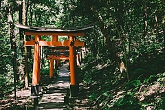 京都市、7月の日本人宿泊客数は50%減まで回復、GoToトラベル利用者は近郊が中心、10月以降の客室販売価格はお盆並みに