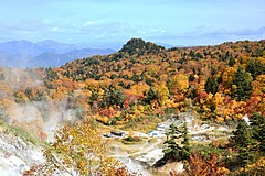 紅葉の見ごろ予想2020、東・西日本は平年並み、高尾山は11月18日頃、京都・嵐山は11月20日頃から
