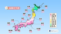 桜の開花予想2021、一番乗りは東京で3月18日、京都・嵐山は3月27日、全国的に平年より早め