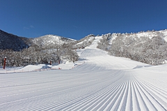 Major ski resorts in Japan make an alliance to attract more skiers  