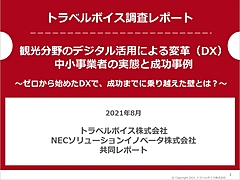 中小事業者の観光DXの実態とは？　デジタル化への「特有の課題」と成功事例から見る「乗り越えた壁」を整理した　－トラベルボイス調査レポート（PR）