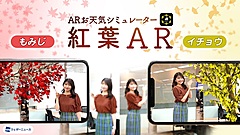 スマホで紅葉狩りをバーチャル体験、ウェザーニューズが「紅葉AR」開始、見ごろ予想も連動