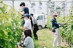 プリンスホテル、法人向け「SDGs＋ワーケーション」で新プログラム、今秋から軽井沢プリンス皮切りに