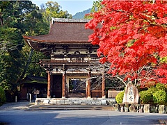 高級宿坊「和空三井寺」が特別プラン、信長ゆかりの国宝で座禅体験、専属料理人の夕食付で1人14万円から