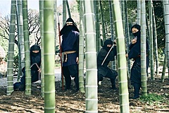 神奈川県小田原市、伝説忍者でイベント開催、忍者演武や修行体験で観光客誘致へ