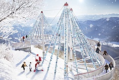 星野リゾート、リゾナーレトマムで「霧氷クリスマス」、高さ10ｍのツリーが登場