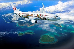 クラブツーリズム、奄美・徳之島・沖縄北部を空中遊覧する貸切チャーター、世界自然遺産ファン向けに