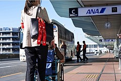 ANA、専属看護師の同行する移動・旅行を提供、専門企業と連携、旅行相談デスクのサイトから申し込み